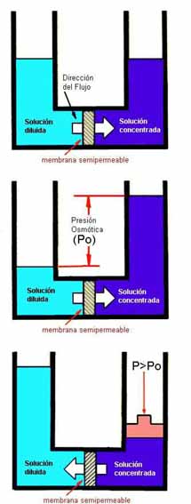 principio de osmosis inversa